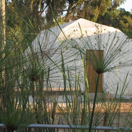 Yarok Az - Ecolodge Farm Ilaniyya Quarto foto