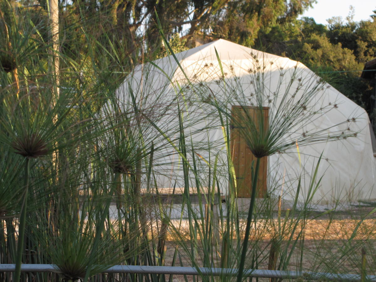 Yarok Az - Ecolodge Farm Ilaniyya Quarto foto
