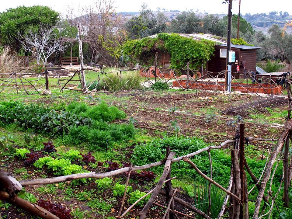 Yarok Az - Ecolodge Farm Ilaniyya Exterior foto